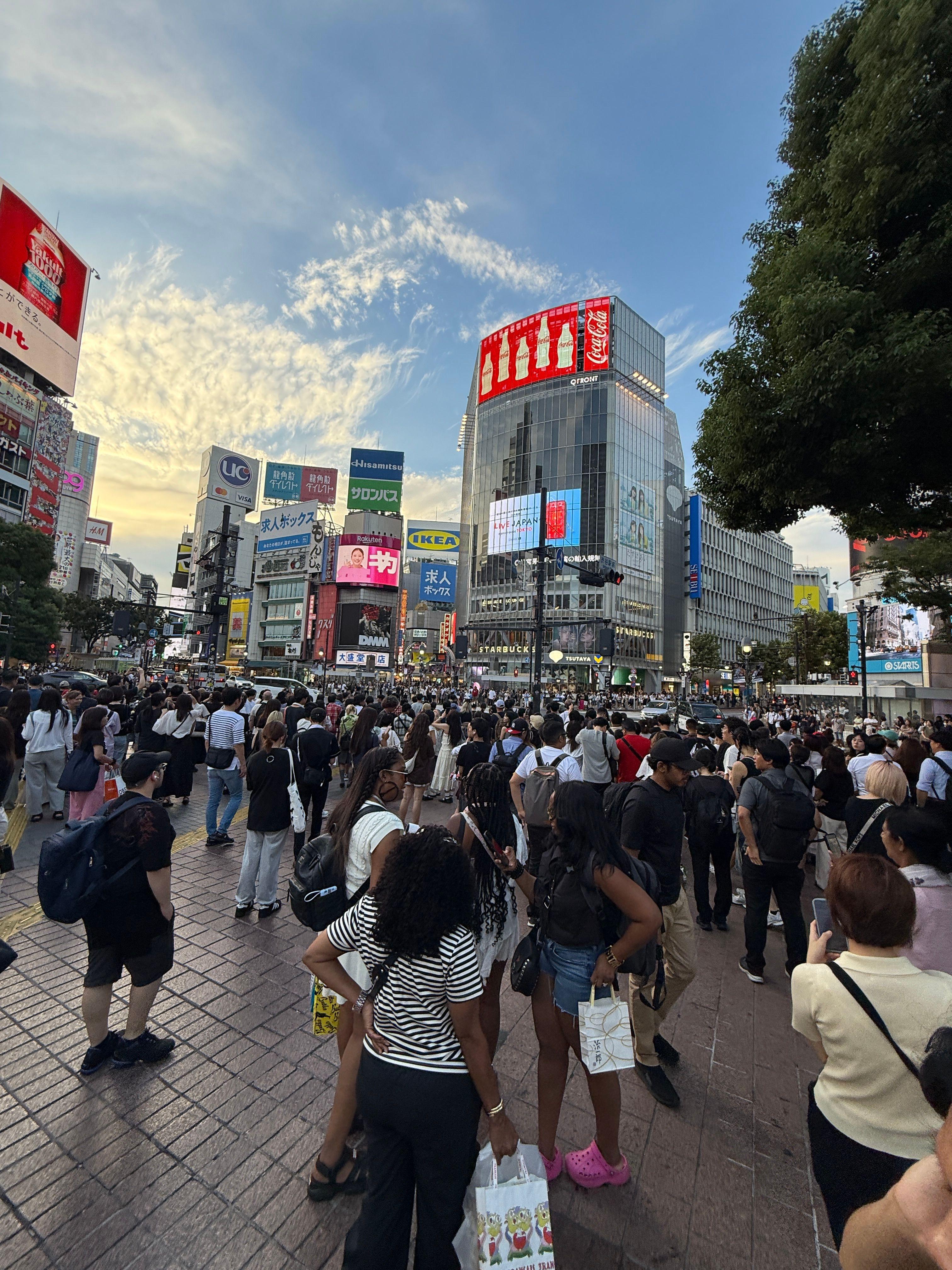 Shibuya. Silds in a barrel