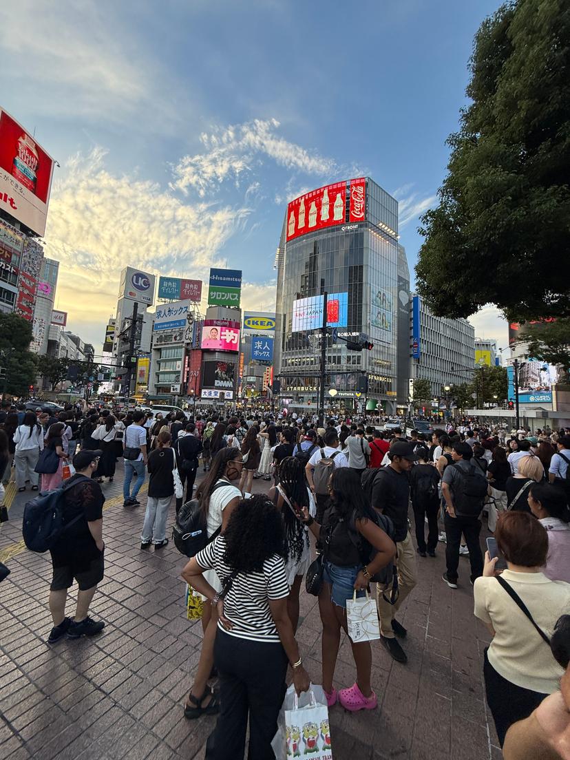 Shibuya. Silds in a barrel
